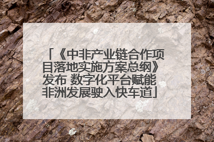 《中非产业链合作项目落地实施方案总纲》发布 数字化平台赋能非洲发展驶入快车道