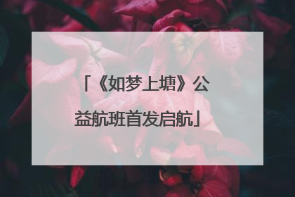 《如梦上塘》公益航班首发启航