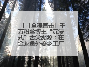 「全程直击」千万粉丝博主“沉浸式”舌尖溯源：在金龙鱼外婆乡工厂寻回记忆中