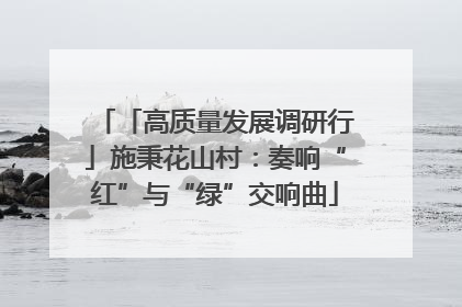 「高质量发展调研行」施秉花山村：奏响“红”与“绿”交响曲
