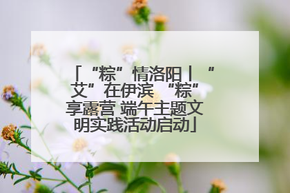 “粽”情洛阳丨“艾”在伊滨 “粽”享露营 端午主题文明实践活动启动
