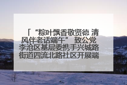 “粽叶飘香敬贤德 清风伴老话端午” 致公党李沧区基层委携手兴城路街道四流北路社区开展端午节主题活动