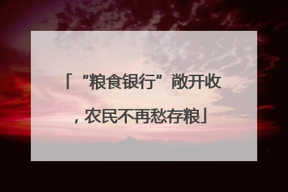 “粮食银行”敞开收，农民不再愁存粮