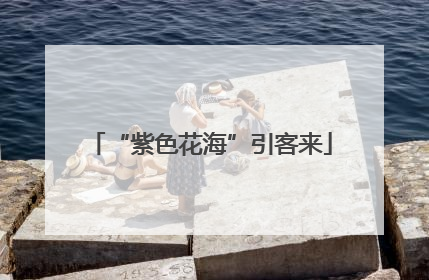 “紫色花海”引客来