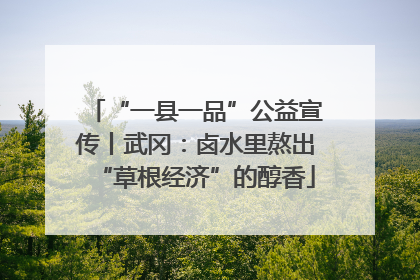“一县一品”公益宣传丨武冈：卤水里熬出“草根经济”的醇香
