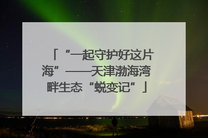 “一起守护好这片海”——天津渤海湾畔生态“蜕变记”