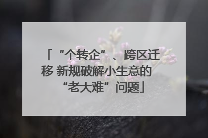“个转企”、跨区迁移 新规破解小生意的“老大难”问题