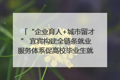“企业育人+城市留才” 宜宾构建全链条就业服务体系促高校毕业生就业｜您牵挂的四川