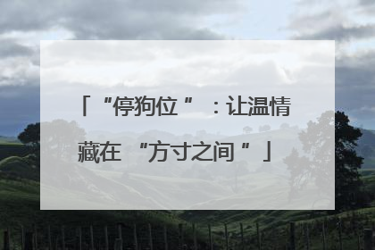 “停狗位 ”：让温情藏在 “方寸之间 ”