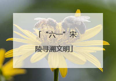 “六一”宋陵寻溯文明