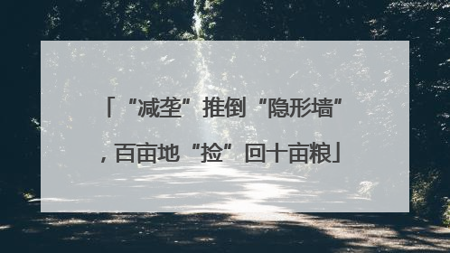 “减垄”推倒“隐形墙”，百亩地“捡”回十亩粮