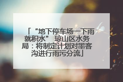“地下停车场一下雨就积水” 琼山区水务局：将制定计划对墨客沟进行雨污分流