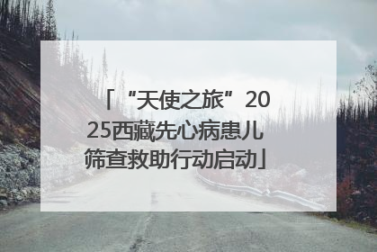 “天使之旅”2025西藏先心病患儿筛查救助行动启动