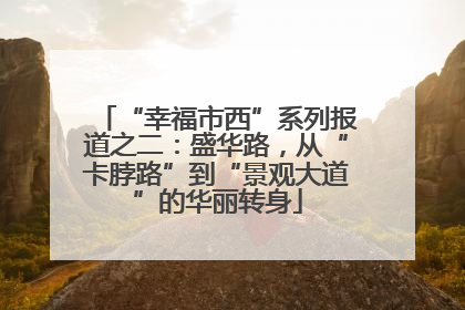 “幸福市西”系列报道之二：盛华路，从“卡脖路”到“景观大道”的华丽转身