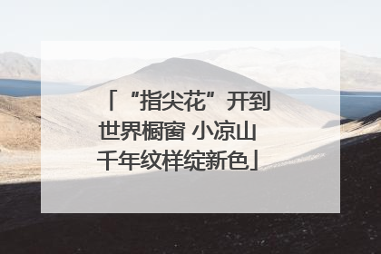 “指尖花”开到世界橱窗 小凉山千年纹样绽新色