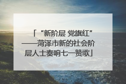 “新阶层 党旗红”——菏泽市新的社会阶层人士奏响七一赞歌
