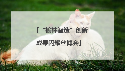 “榆林智造”创新成果闪耀丝博会