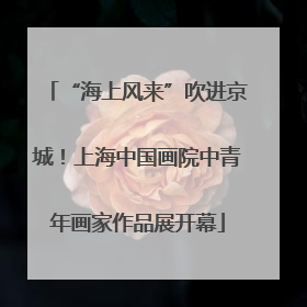 “海上风来”吹进京城！上海中国画院中青年画家作品展开幕
