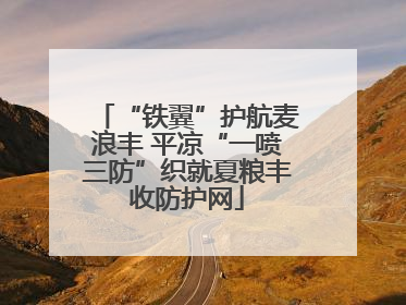 “铁翼”护航麦浪丰 平凉“一喷三防”织就夏粮丰收防护网