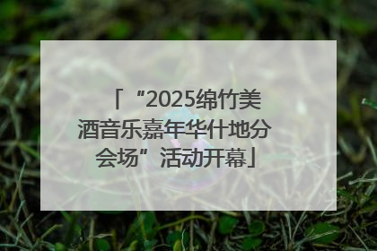 “2025绵竹美酒音乐嘉年华什地分会场”活动开幕