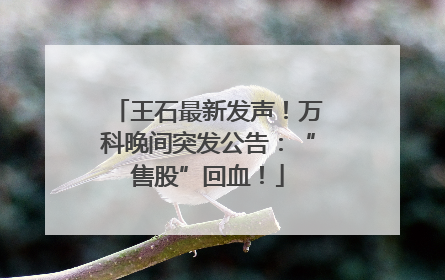 王石最新发声！万科晚间突发公告：“售股”回血！
