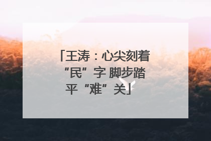 王涛：心尖刻着“民”字 脚步踏平“难”关