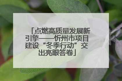 点燃高质量发展新引擎——忻州市项目建设“冬季行动”交出亮眼答卷