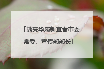 熊亮华履新宜春市委常委、宣传部部长