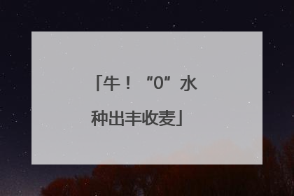 牛！“0”水种出丰收麦