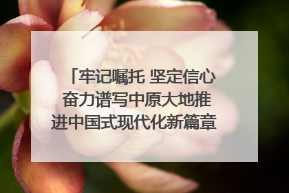 牢记嘱托 坚定信心 奋力谱写中原大地推进中国式现代化新篇章（六）河南绘就“行走河南·读懂中国”新画卷丨牢记嘱托谱新篇