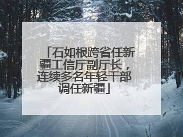 石如根跨省任新疆工信厅副厅长，连续多名年轻干部调任新疆