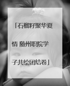 石榴籽聚华夏情 随州职院学子共绘团结卷