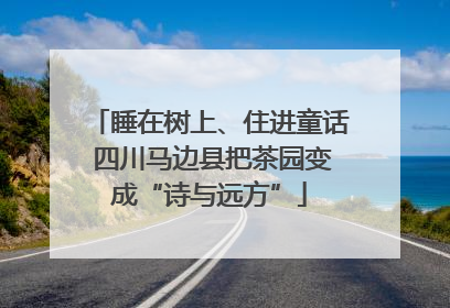 睡在树上、住进童话 四川马边县把茶园变成“诗与远方”