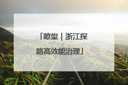 瞭望｜浙江探路高效能治理