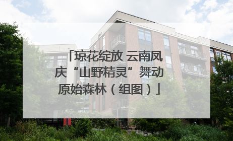 琼花绽放 云南凤庆“山野精灵”舞动原始森林（组图）