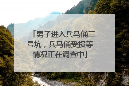男子进入兵马俑三号坑，兵马俑受损等情况正在调查中