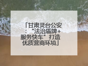 甘肃灵台公安：“法治盾牌+服务快车”打造优质营商环境
