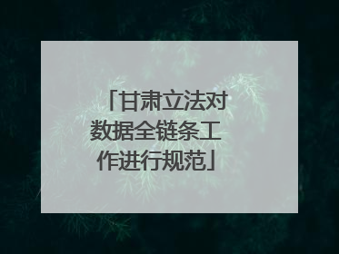 甘肃立法对数据全链条工作进行规范