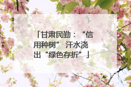 甘肃民勤：“信用种树” 汗水浇出“绿色存折”