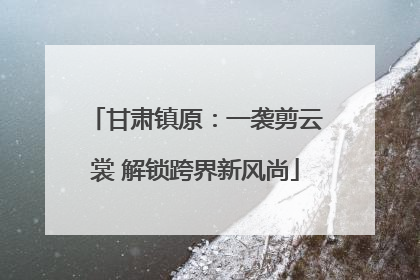 甘肃镇原：一袭剪云裳 解锁跨界新风尚
