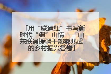 用“联通红”书写新时代“疆”山情——山东联通援疆干部郝兆武的乡村振兴答卷