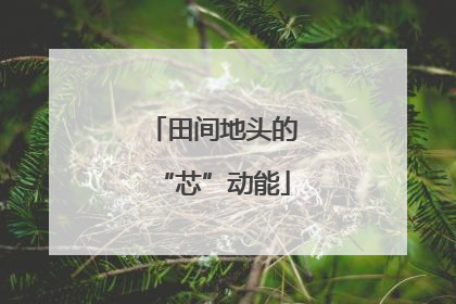田间地头的“芯”动能