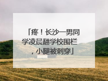 疼！长沙一男同学凌晨翻学校围栏，小腿被刺穿