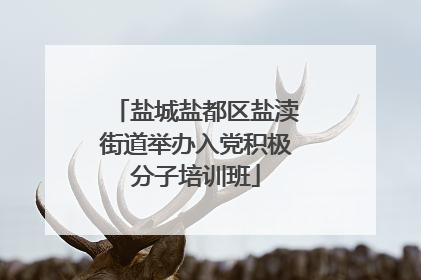 盐城盐都区盐渎街道举办入党积极分子培训班