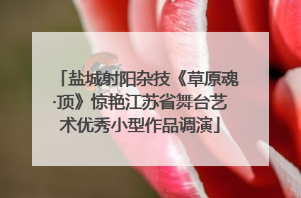 盐城射阳杂技《草原魂·顶》惊艳江苏省舞台艺术优秀小型作品调演
