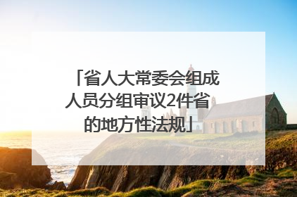 省人大常委会组成人员分组审议2件省的地方性法规
