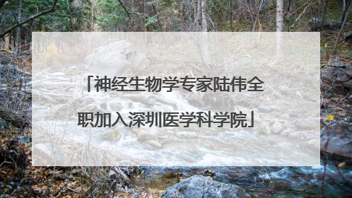 神经生物学专家陆伟全职加入深圳医学科学院