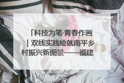 科技为笔·青春作画｜双线实践绘就南平乡村振兴新图景——福建农林大学金山学院青年学子以智慧与科技激活乡村发展新动能