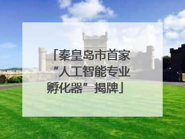 秦皇岛市首家“人工智能专业孵化器”揭牌