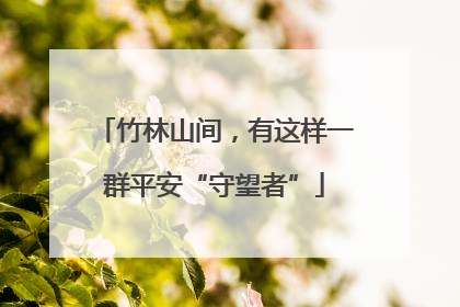 竹林山间，有这样一群平安“守望者”